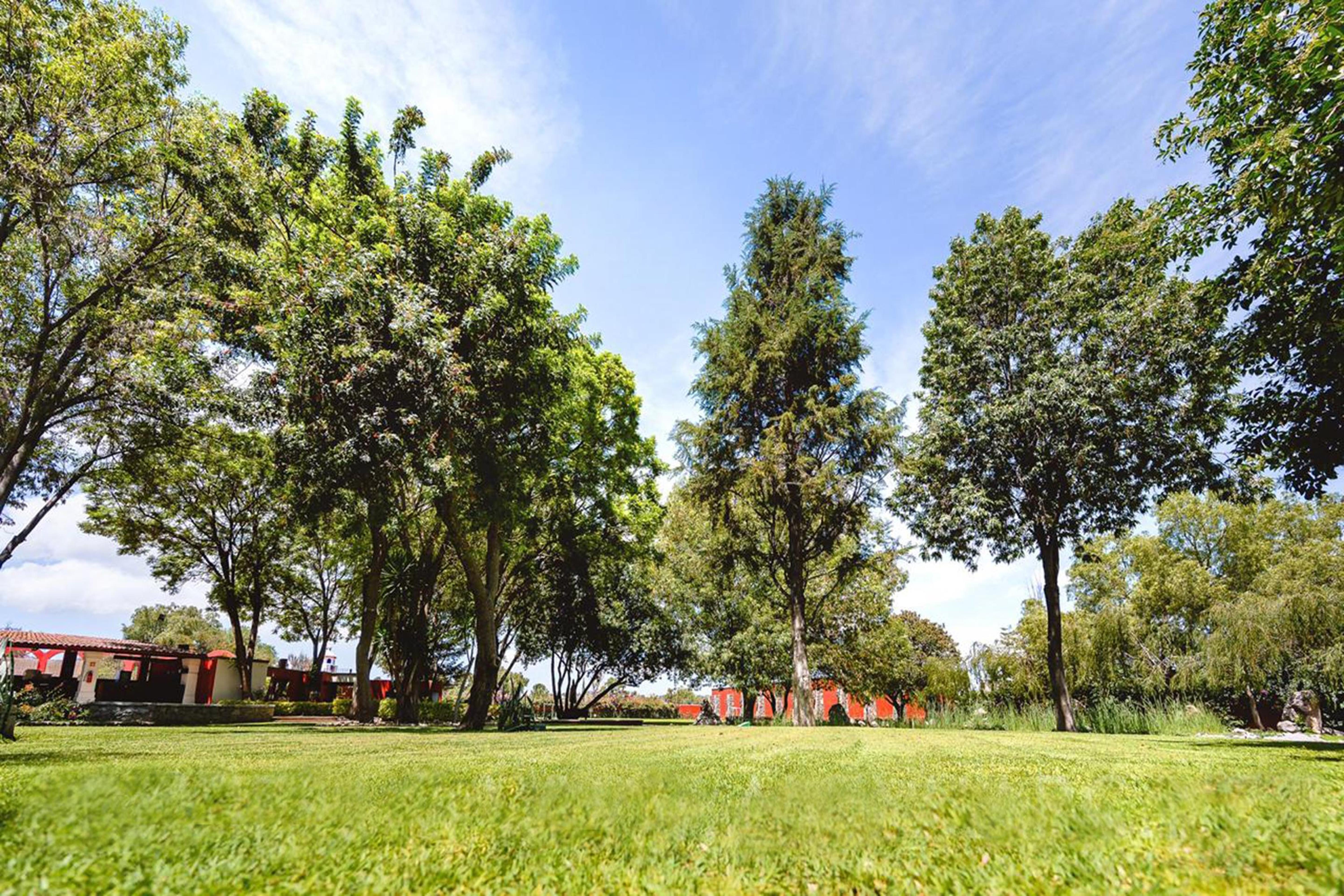 Real De Minas Альенде Экстерьер фото The park