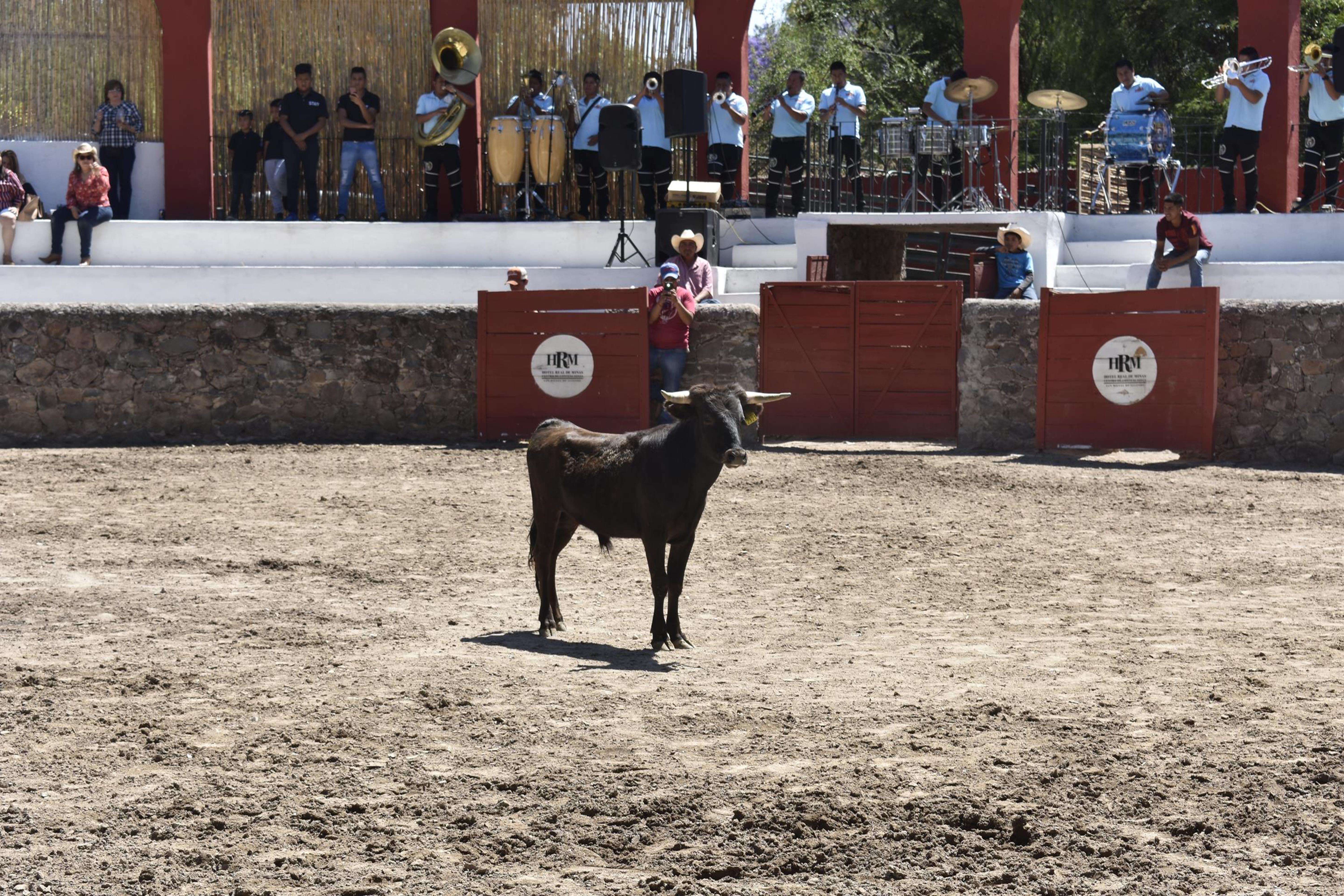 Real De Minas Альенде Экстерьер фото A bull in the bullring