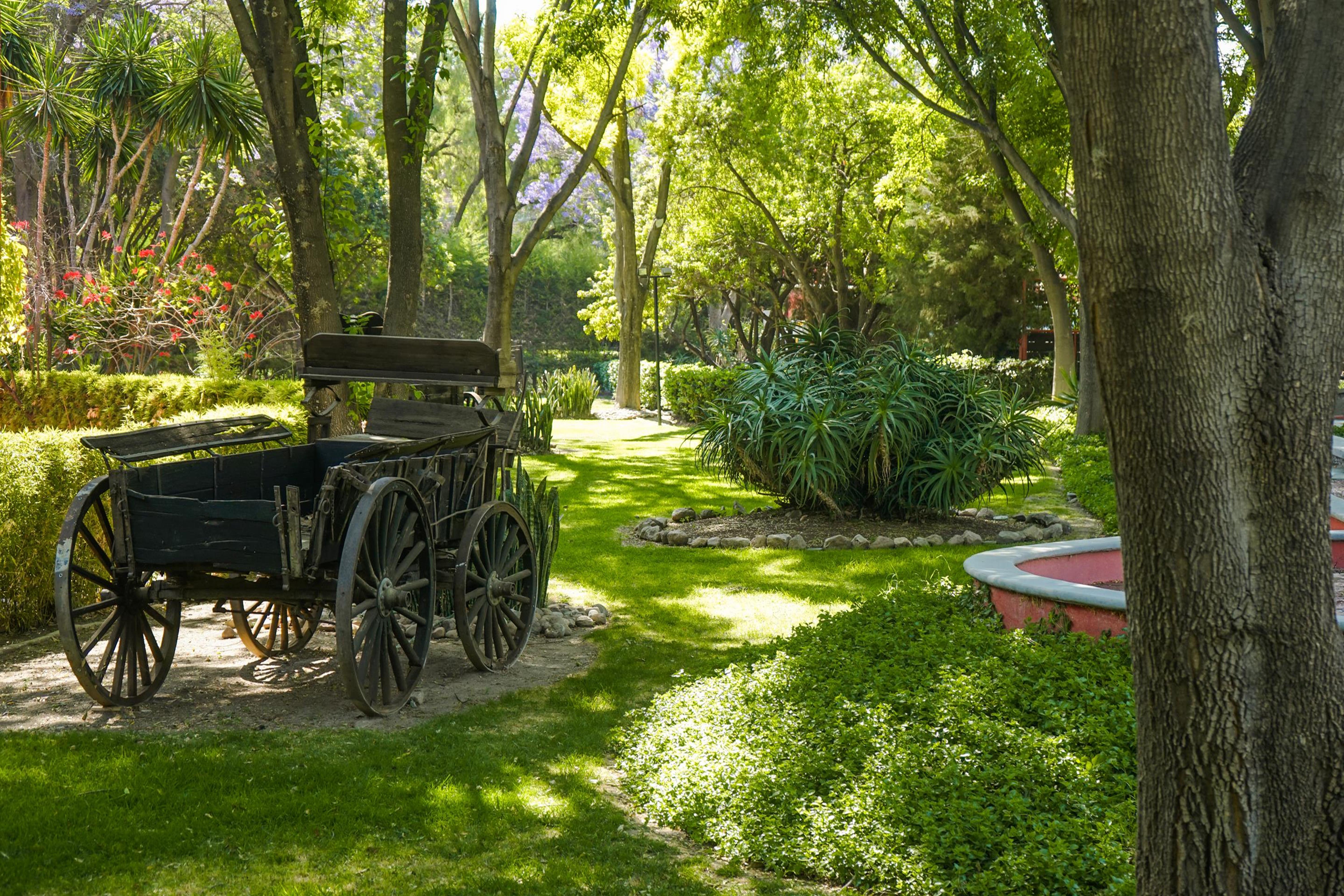 Real De Minas Альенде Экстерьер фото The gardens of the museum